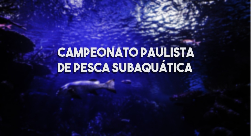 Campeonato Paulista - Diário do Peixe