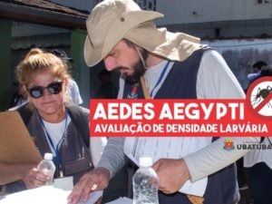 Aedes aegypti: Ubatuba prepara nova Avaliação de Densidade Larvária