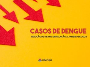 Casos de dengue em Ubatuba caem 68,84% em relação a janeiro de 2024