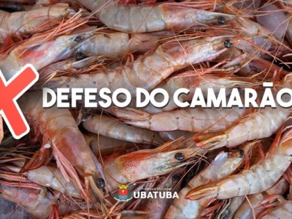 Período do defeso do camarão inicia em 28 de janeiro